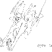 20050325a