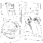 20050604ga