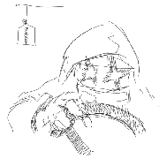 20051203f