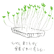 20051205