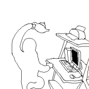 2005_000053