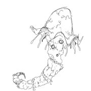 20060126a
