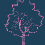 2006_auaua