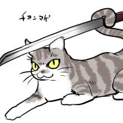 20080320_03nuko3
