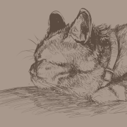2014_190_shou
