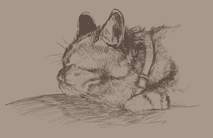2014_190_shou