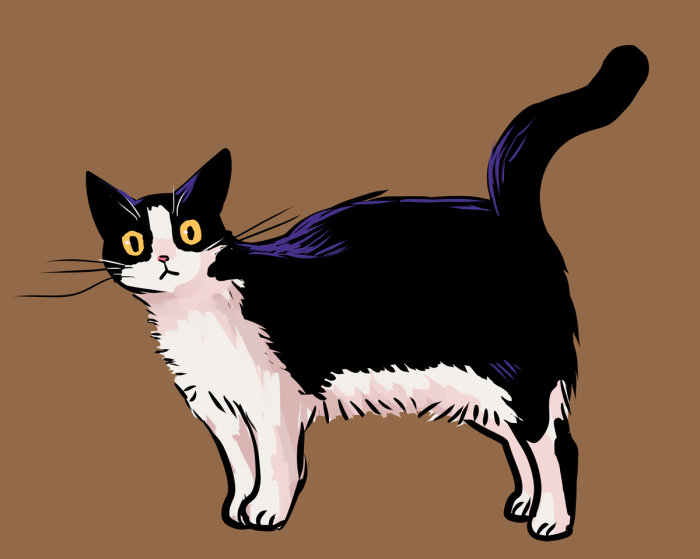 2018_0601_05_35_sushi