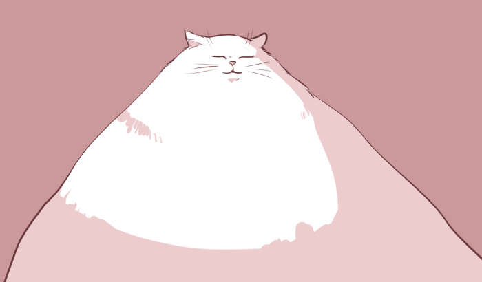 2019_1104_03_48_26_nekko